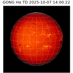gong - 2025-10-07T14:00:22