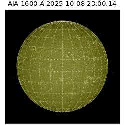 saia - 2025-10-08T23:00:14.118000