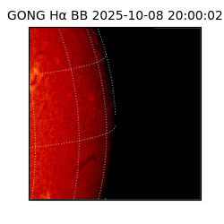 gong - 2025-10-08T20:00:02