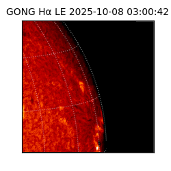 gong - 2025-10-08T03:00:42