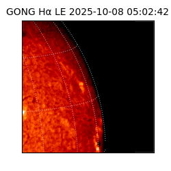 gong - 2025-10-08T05:02:42