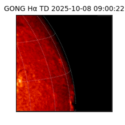 gong - 2025-10-08T09:00:22