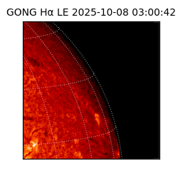 gong - 2025-10-08T03:00:42