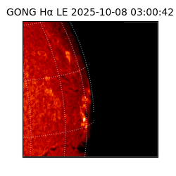 gong - 2025-10-08T03:00:42