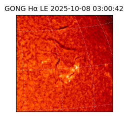 gong - 2025-10-08T03:00:42