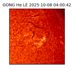 gong - 2025-10-08T04:00:42