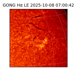 gong - 2025-10-08T07:00:42