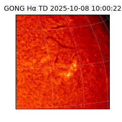 gong - 2025-10-08T10:00:22
