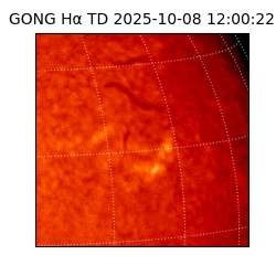 gong - 2025-10-08T12:00:22