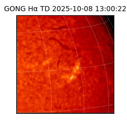 gong - 2025-10-08T13:00:22