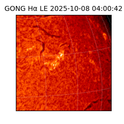gong - 2025-10-08T04:00:42