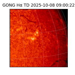 gong - 2025-10-08T09:00:22
