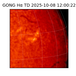 gong - 2025-10-08T12:00:22