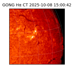 gong - 2025-10-08T15:00:42