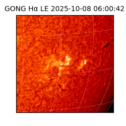 gong - 2025-10-08T06:00:42