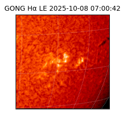 gong - 2025-10-08T07:00:42