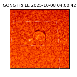 gong - 2025-10-08T04:00:42