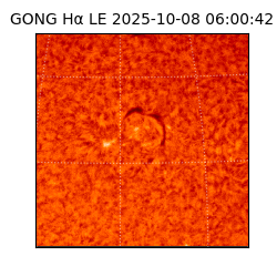 gong - 2025-10-08T06:00:42