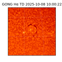 gong - 2025-10-08T10:00:22