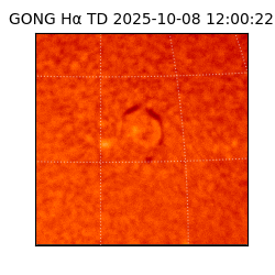 gong - 2025-10-08T12:00:22