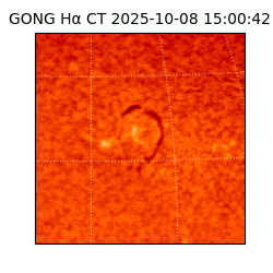 gong - 2025-10-08T15:00:42