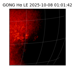 gong - 2025-10-08T01:01:42
