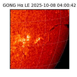 gong - 2025-10-08T04:00:42