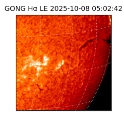gong - 2025-10-08T05:02:42