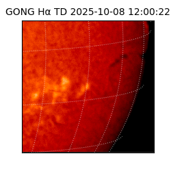 gong - 2025-10-08T12:00:22