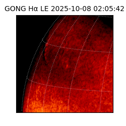 gong - 2025-10-08T02:05:42