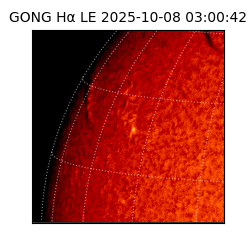 gong - 2025-10-08T03:00:42