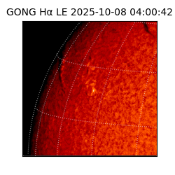 gong - 2025-10-08T04:00:42
