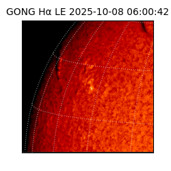 gong - 2025-10-08T06:00:42