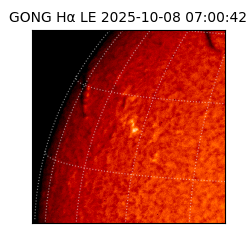 gong - 2025-10-08T07:00:42