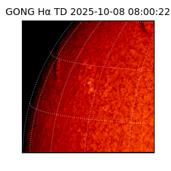 gong - 2025-10-08T08:00:22