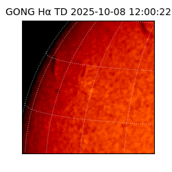 gong - 2025-10-08T12:00:22