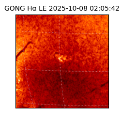 gong - 2025-10-08T02:05:42
