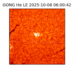 gong - 2025-10-08T06:00:42
