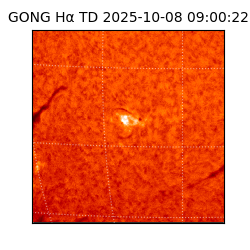 gong - 2025-10-08T09:00:22
