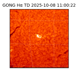 gong - 2025-10-08T11:00:22