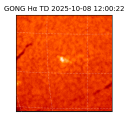 gong - 2025-10-08T12:00:22