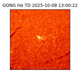 gong - 2025-10-08T13:00:22