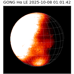 gong - 2025-10-08T01:01:42