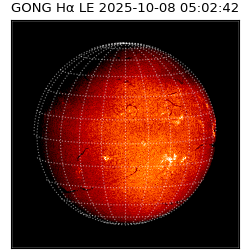 gong - 2025-10-08T05:02:42