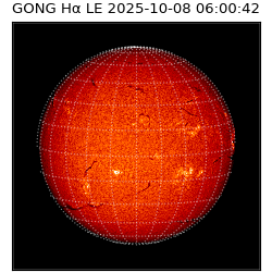 gong - 2025-10-08T06:00:42