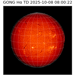 gong - 2025-10-08T08:00:22