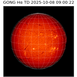gong - 2025-10-08T09:00:22