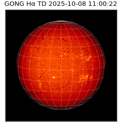 gong - 2025-10-08T11:00:22