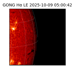 gong - 2025-10-09T05:00:42