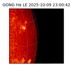 gong - 2025-10-09T23:00:42